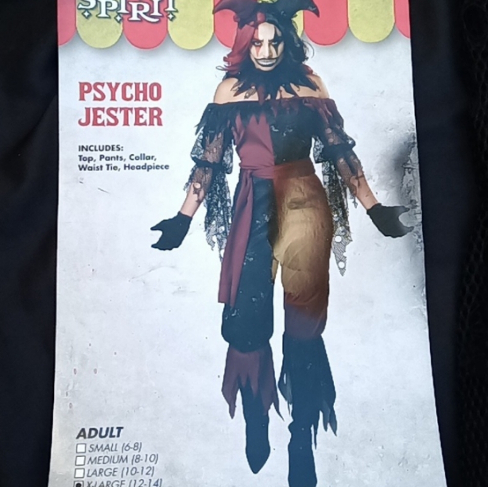 Women's Two-Tone Jester Costume XL